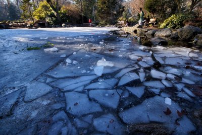 lithia park pond