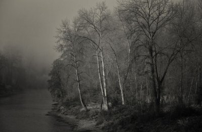 foggy rogue river