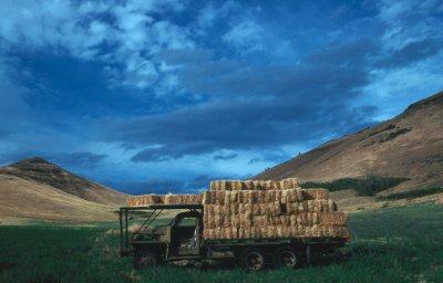 hay truck.jpg