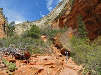 on the East Rim Trail 