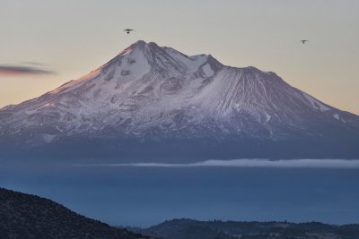 dawn at Mt Shasta