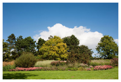 RHS Hyde Hall - Essex