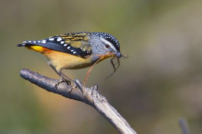 _4SC5145.jpg