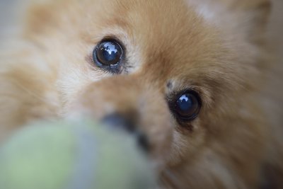 _4SC2912-resize5.jpg