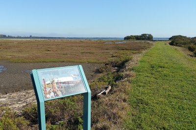 Stockton Sandspit