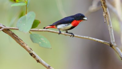 AZ3_8073.jpg