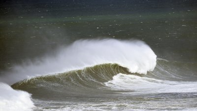 g9/23/1148723/3/163898618.X0x6vCeP.jpg