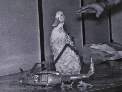 Duck Huey pilot. Our pilots were much better.