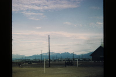 82824971-SLD-001-0148.jpg