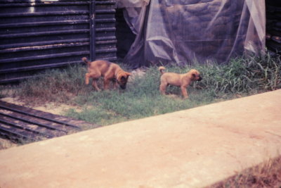 82824971-SLD-001-0175.jpg