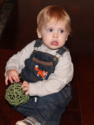 IMG_2793a_resize.jpg