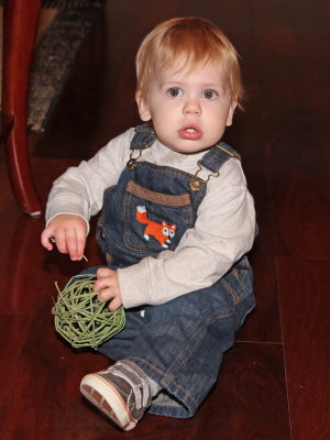 IMG_2794a_resize.jpg