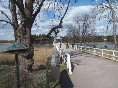 Helsinki.4.27243.jpg