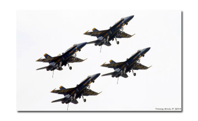 U.S.  Navy Blue Angels