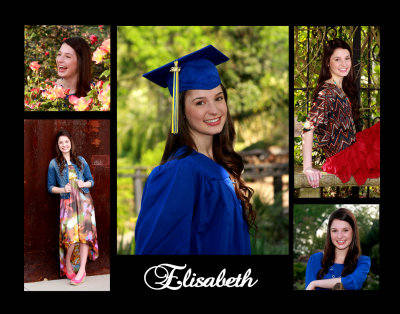 Collage1_email.jpg