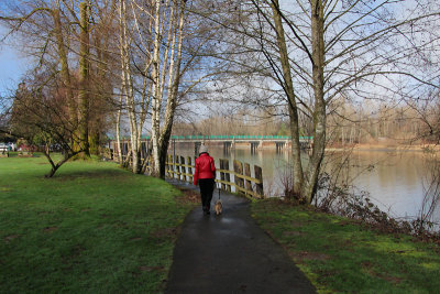 Morning Walk
