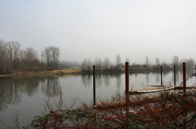 Foggy Stillness