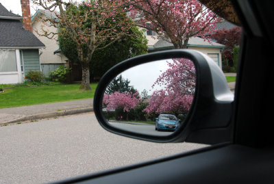 Rear View
