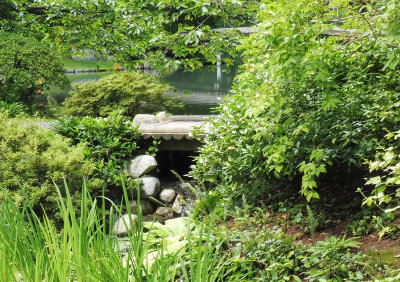 P1020594 copy.jpg