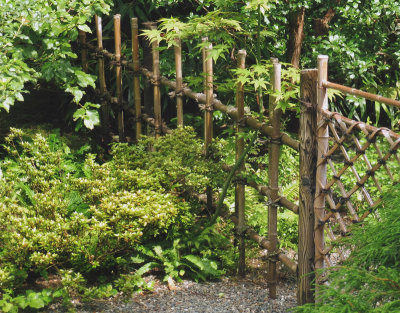 Nitobe Japanese Garden