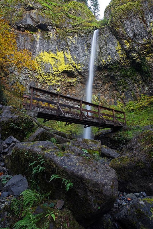 Elowah Falls