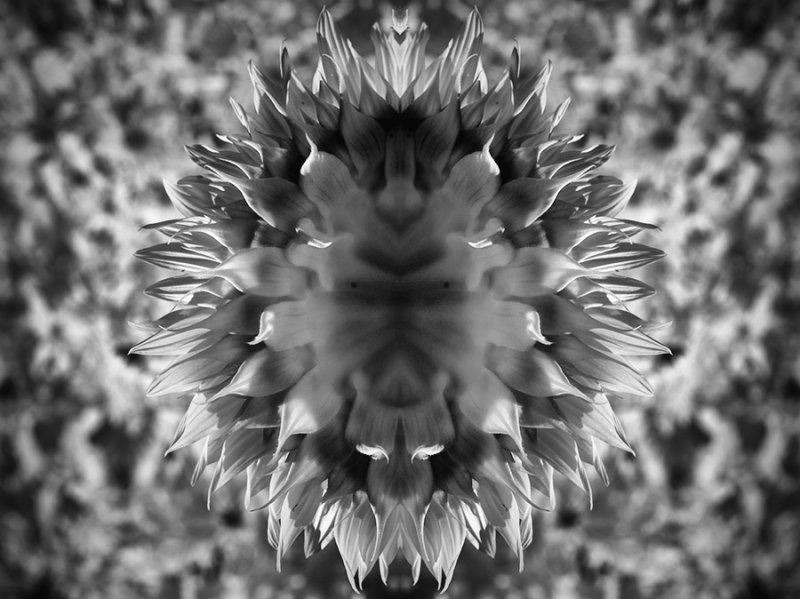 g9/23/19323/2/156864214.7PEFRBtb.jpg