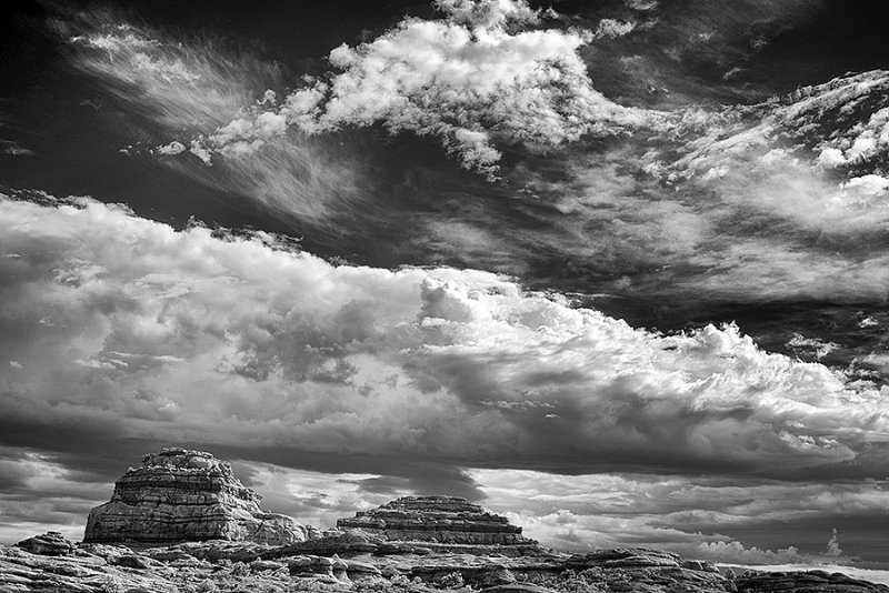 Canyonlands Needles District