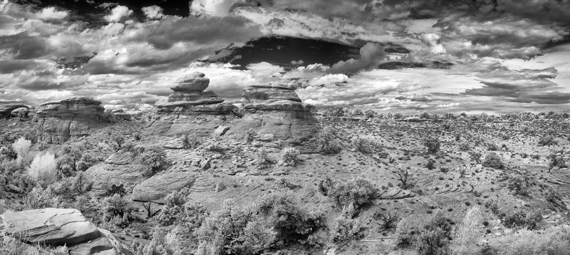 Canyonlands Needles District