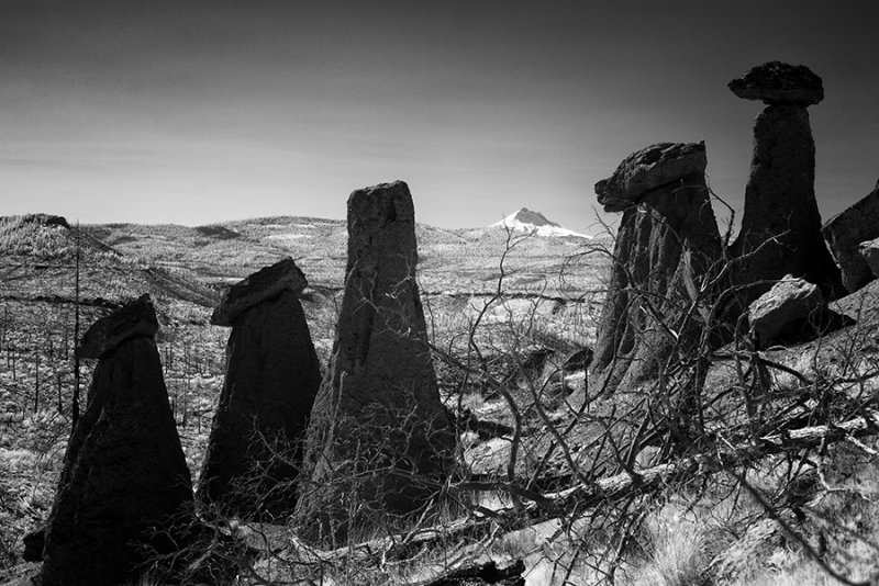d600, 850nm Infrared