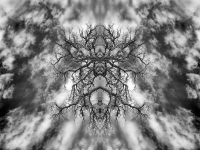 Mirror, Mirror in Black and White 