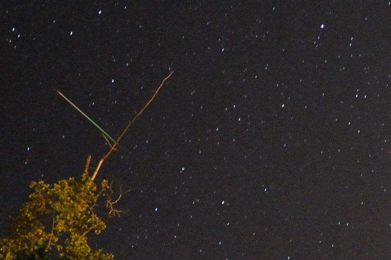 Perseid Meteor