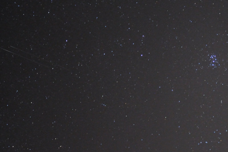Perseid Meteor