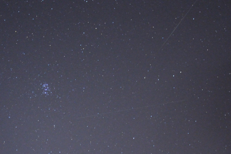Perseid Meteor