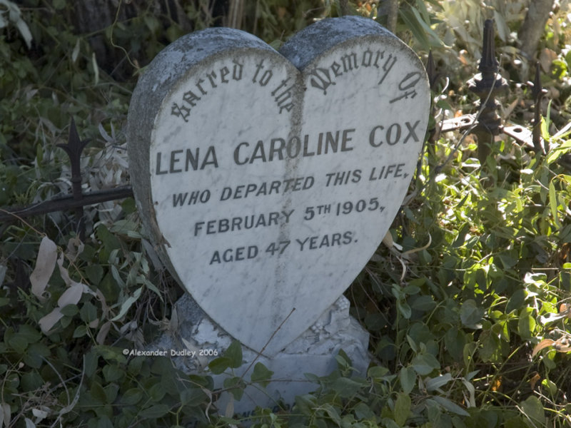 Grave of Lena Caroline Cox, died 5th February 1905