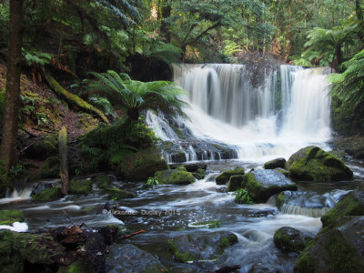 Horseshoe Falls, Mt. Field National Park