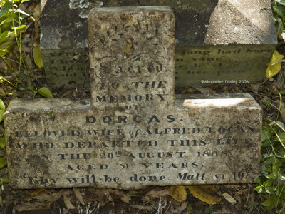Grave of Dorcas Logan, died 20 Aug 1898