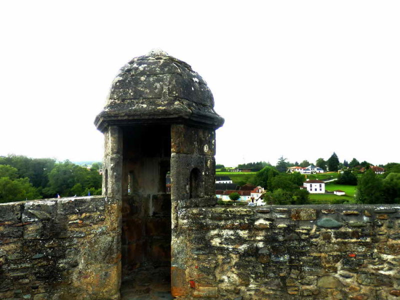 P7200172.jpg