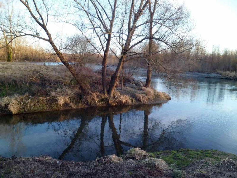 Estuaire Ousse des Bois - Gave de Pau, non loin de Denguin