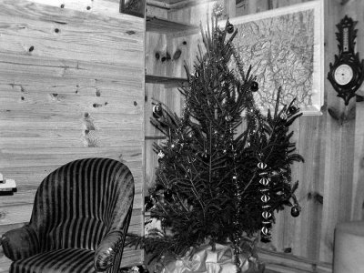 Le coin sapin de Nol