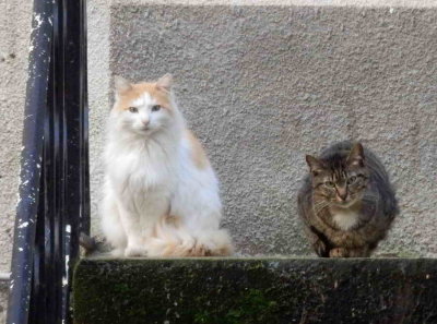 Deux compères