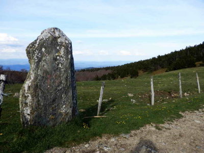 Mini-menhir du Mont Aigoual
