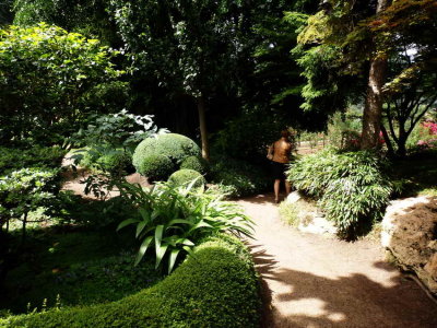 P6230934.JPG