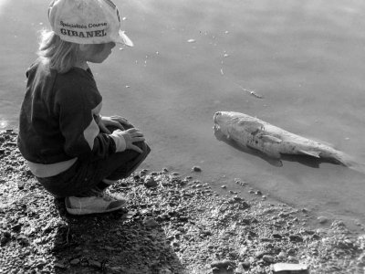 Bibi et le poisson mort