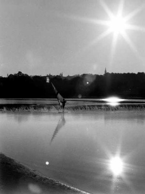 Planche à voile sur le lac de Miélan