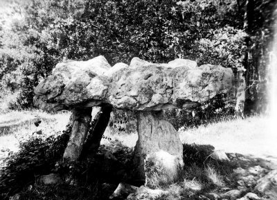 Petit dolmen des environs du Mas d'Azil