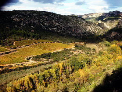 PA221387.jpg