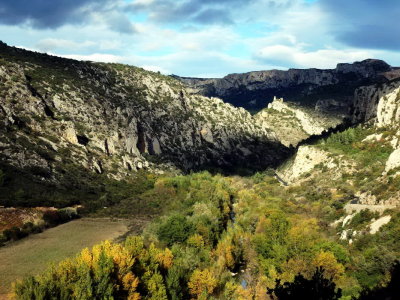 PA221395.jpg