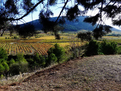 PA231486.jpg