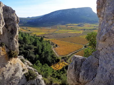 PA231509.jpg