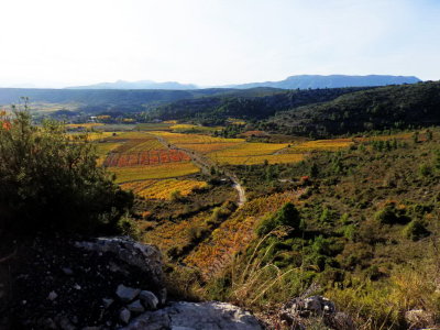 PA231510.jpg
